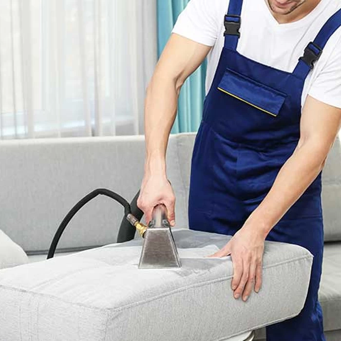 Sofa and Chair Cleaning Service