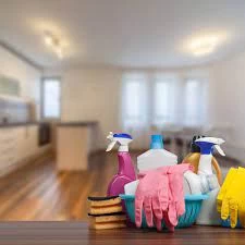 General Home Cleaning Service