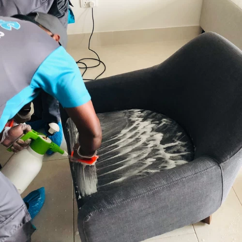 Sofa and Chair Cleaning