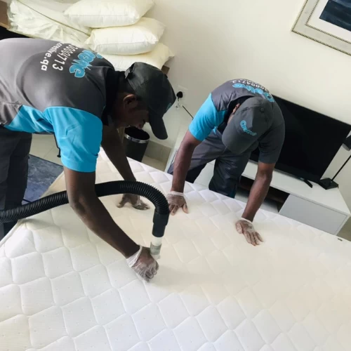 Mattress Cleaning Service