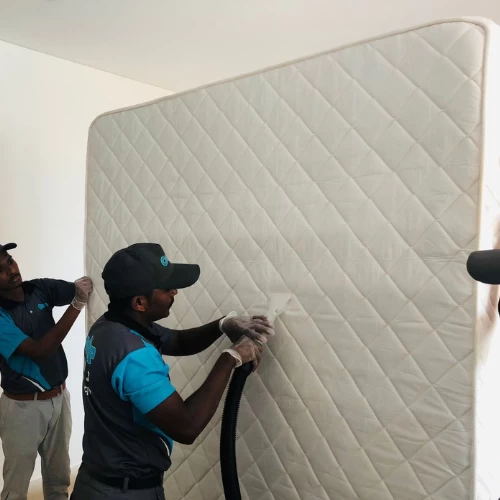 Mattress Cleaning Service