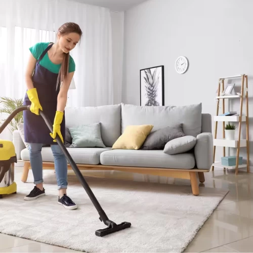 House Cleaning Service