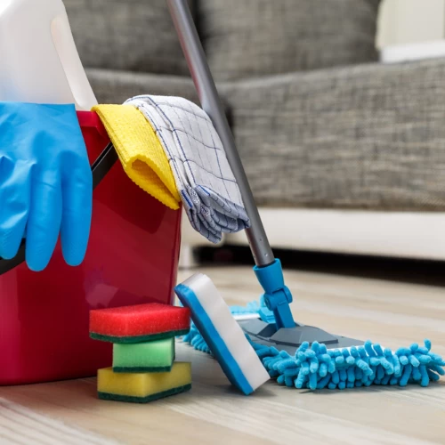 House Cleaning Service